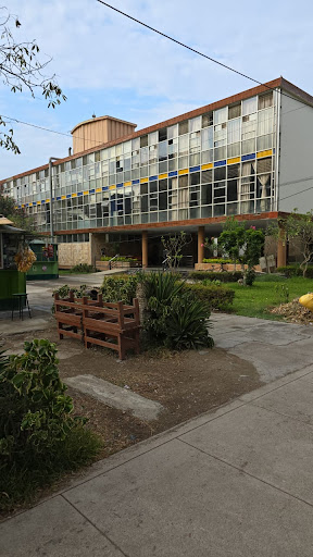 Facultad de Ciencias Físicas - UNMSM
