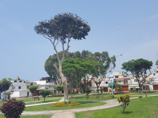 Paktos Deco