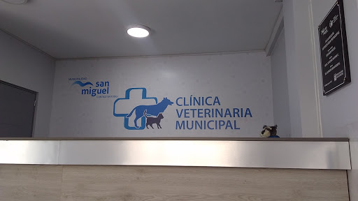 Clinica Veterinaria Municipal