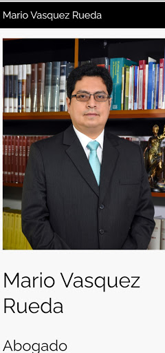 Mario asesoría