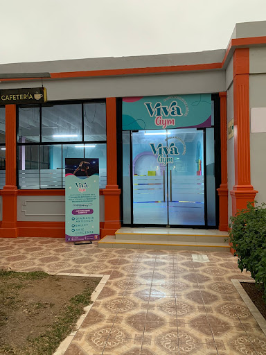 Viva Gym - Escuela de Gimnasia Artística