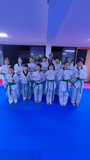 Tanaka Taekwondo Club