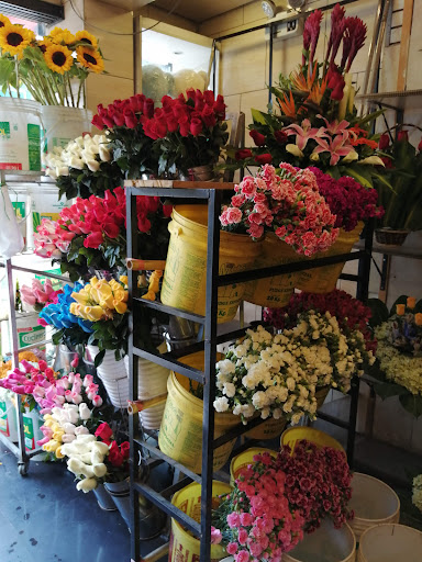 La Rosa De Sarón Perú