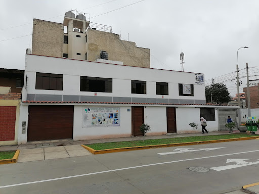 Manos que sanan