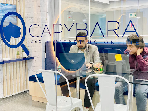 Capybara SEO - Posicionamiento Web & Marketing Online
