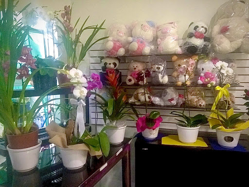 Florería San Isidro