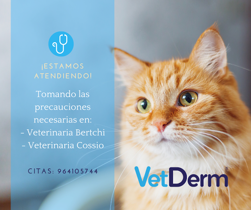 VetDerm M.V. Fernando Chávez